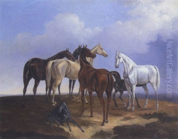 Funf Stuten Und Zwei Fohlen Oil Painting by Albrecht Adam