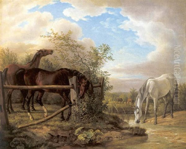 Zwei Braune In Der Koppel Oil Painting by Albrecht Adam