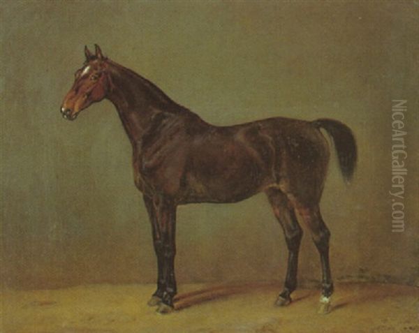 Braunes Pferd, Nach Links Gewendet Oil Painting by Albrecht Adam