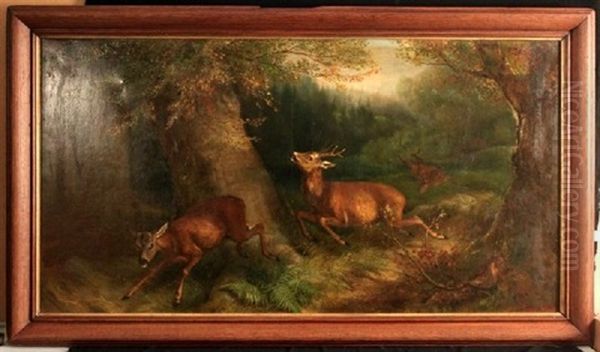 Flucht Der Rehe Vor Dem Jager Oil Painting by Benno Raffael Adam