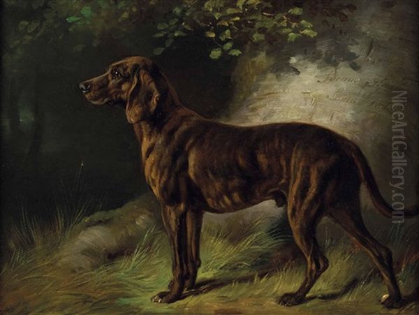 Jagdhund Oil Painting by Benno Raffael Adam