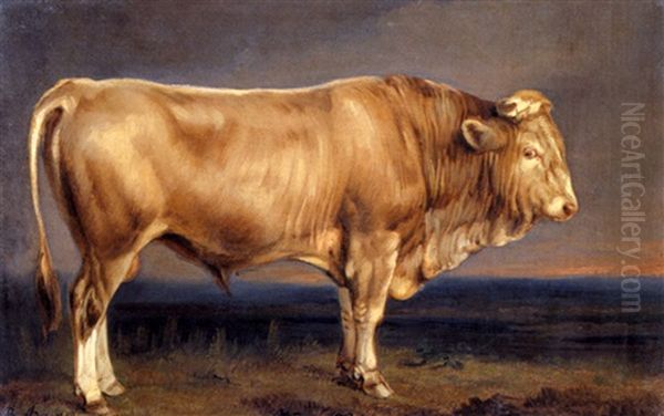 Der Stier Oil Painting by Benno Raffael Adam