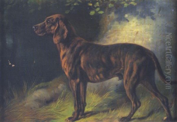 Jagdhund In Waldlandschaft Oil Painting by Benno Raffael Adam