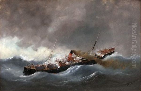 Le Bateau A Vapeur Carlisle Dans La Tempete Oil Painting by Edouard Adam