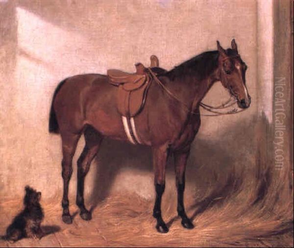 Lady's Bay Hunter In A Stable Interior Oil Painting by Emil Adam