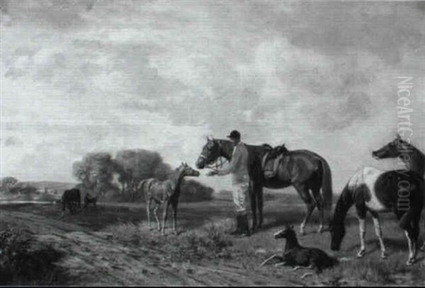 The Foal Oil Painting by Emil Adam