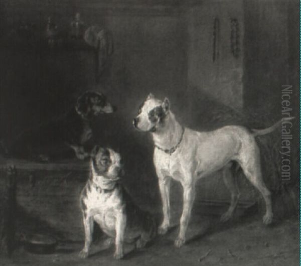 Drei Hunde In Der Scheune Oil Painting by Franz Adam