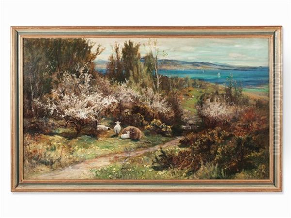 Sheep In Coastal Scenery Oil Painting by Joseph Denovan Adam