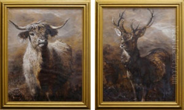 A Pair Of Studies Of A Highland Cow And Deer Stag Oil Painting by Joseph Denovan Adam