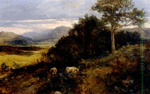 Spatsommerliche Schottische Landschaft Mit Heimkehrenden Kuhen Oil Painting by Joseph Denovan Adam