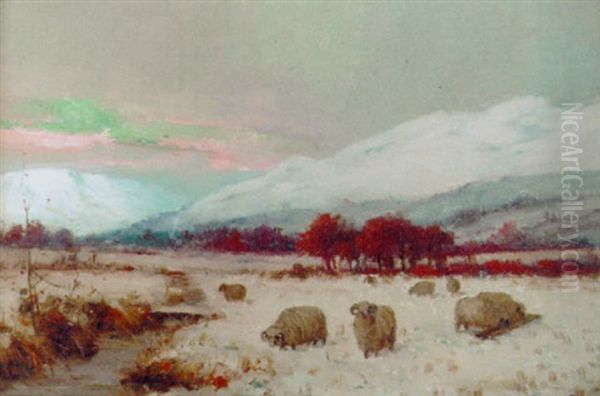 Sheep In A Highland Winter Landscape Oil Painting by Joseph Denovan Adam