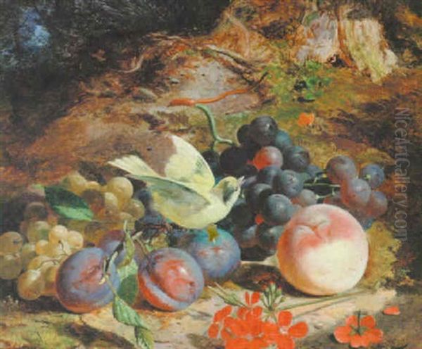 Mixed Fruit, A Canary And A Butterfly On A Woodland Floor Oil Painting by Joseph Denovan Adam