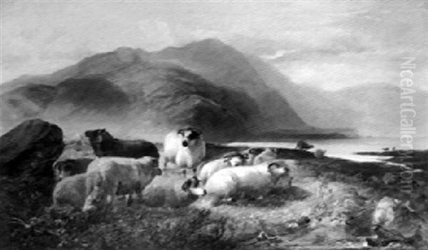 Highland Sheep Resting Oil Painting by Joseph Denovan Adam