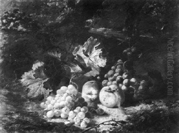 A Chaffinch, Grapes, A Peaches On A Mossy Bank, A Forest    Landscape Beyond Oil Painting by Joseph Denovan Adam