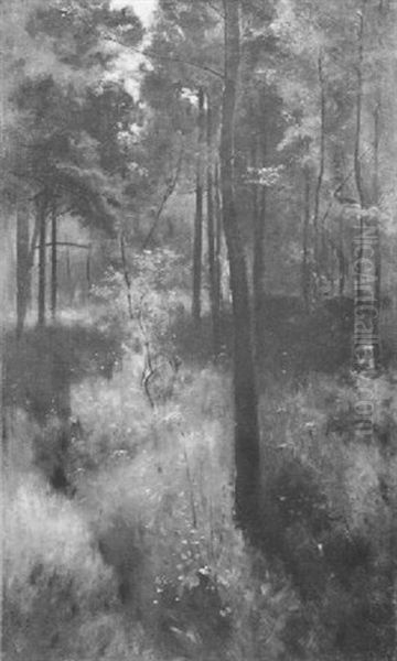 Woodland Glade Oil Painting by Patrick William Adam