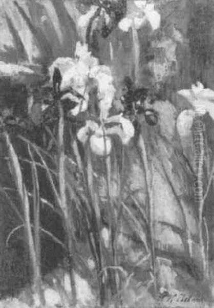 Irises Round Pool Oil Painting by Patrick William Adam