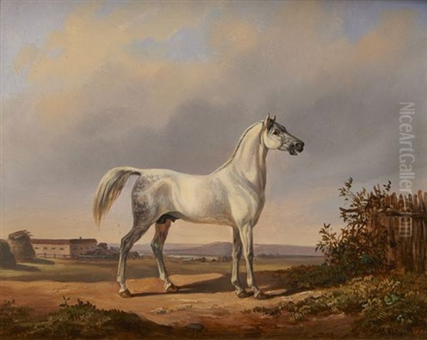 Cheval Gris Oil Painting by Victor-Jean Adam