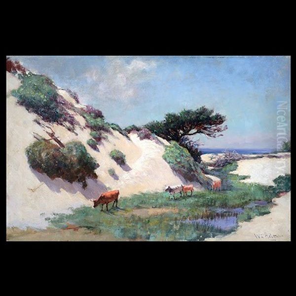 Cows In Dunes Oil Painting by William C. Adam