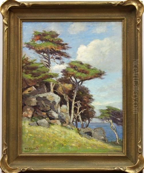 Sea View With Monterey Cypress Oil Painting by William C. Adam