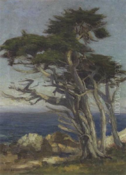 Cypress Group, 17 Mile Drive Oil Painting by William C. Adam