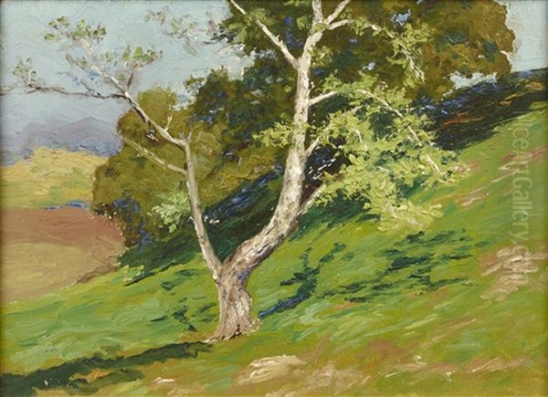 Mt. Taylor From Bartholf Park (estes Park); Haystacks; Tree On Mountainside (3 Works) Oil Painting by Charles Partridge Adams