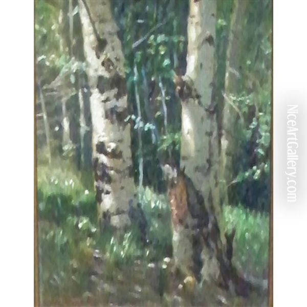 Birch Trees Oil Painting by Charles Partridge Adams