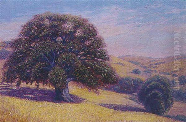 Foothills Of Mt. Diablo, Ca Oil Painting by Charles Partridge Adams