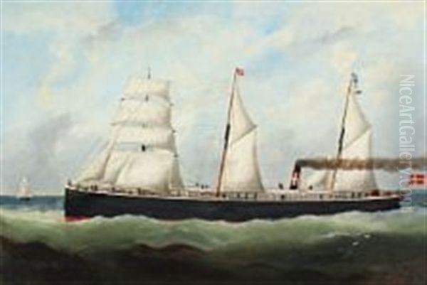 Ship Portrait Of The Steamship 