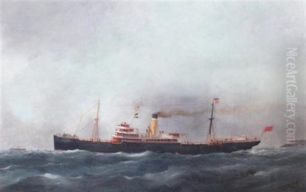 Ship Portrait Of The Ss City Of Karachi Oil Painting by Edward Adams