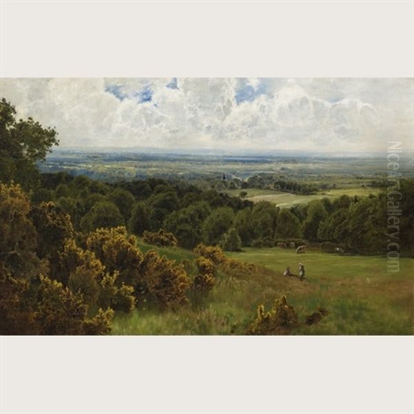 View From Leith Hill, Surrey Oil Painting by John Clayton Adams