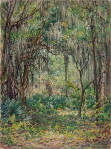 Florida Jungle With Cabin, St. Petersburg Oil Painting by John Ottis Adams