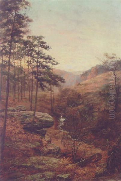 A Moorland Stream Oil Painting by Alfred Addy