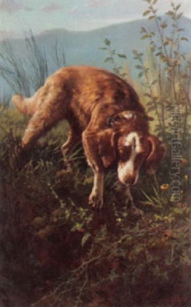 Dogs In Briars Oil Painting by Carlo Ademollo