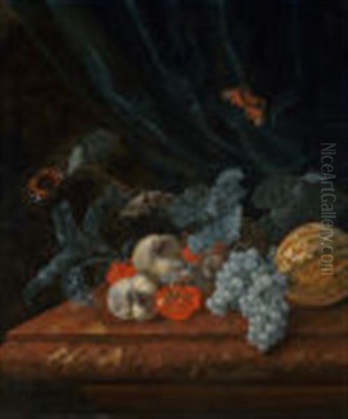 Still Life With Grapes, Peaches, A Melon, And Other Fruit On A Marble Ledge With Two Butterflies Oil Painting by Willem Van Aelst