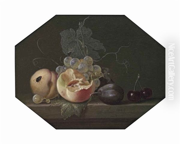 Peaches, Grapes On The Vine, Black Plums, Cherries And A Fly, All On A Stone Ledge Oil Painting by Willem Van Aelst