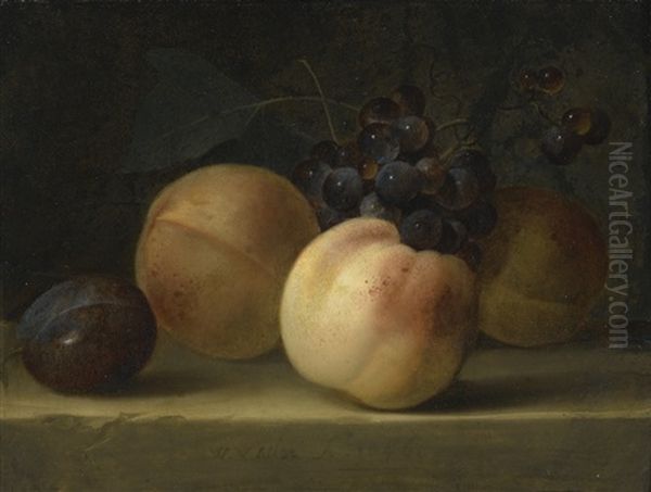 Peaches, A Plum, And Grapes On A Ledge Oil Painting by Willem Van Aelst