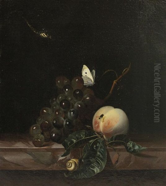 Still Life With Grapes, A Peach, A Fly, A Cabbage-white, A Snail And A Dragonfly Oil Painting by Willem Van Aelst