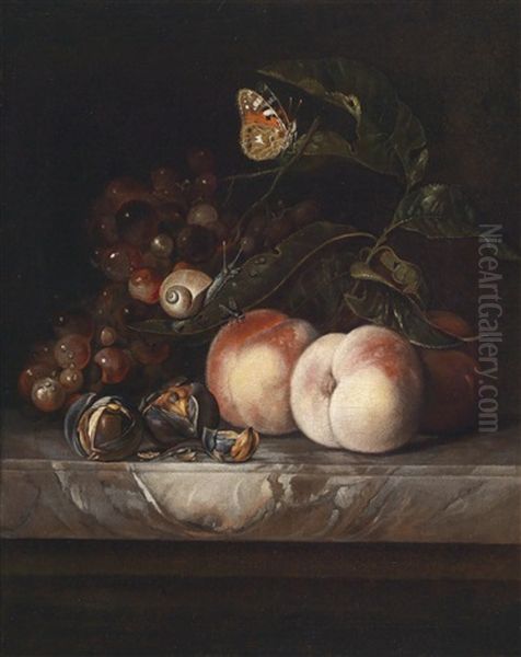 Ein Fruchtestillleben Mit Einem Schmetterling Und Einer Schnecke Oil Painting by Willem Van Aelst