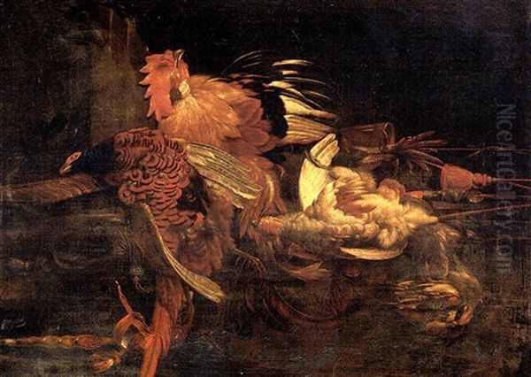 A Dead Cockerel And Game Birds Suspended By String With A Pheasant And A Falcon's Hood On A Ledge Oil Painting by Willem Van Aelst