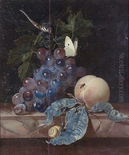 A Still Life With Grapes, A Peach, A Cabbage-white, A Dragon-fly, A Snail And A Fly, All On A Marble Ledge Oil Painting by Willem Van Aelst