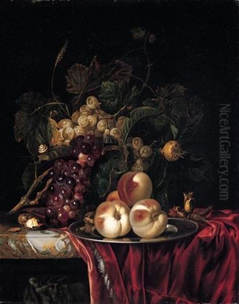 A Still Life Of Peaches On A Pewter Plate, Bunches Of Grapes, Walnuts And Almonds Together On A Red Cloth On A Stone Ledge Oil Painting by Willem Van Aelst