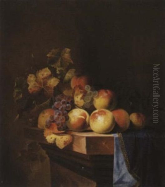 Nature Morte Aux Peches Oil Painting by Willem Van Aelst