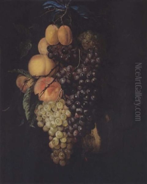 A Garland Of Grapes, Peaches, Apricots And A Honey Melon, Suspended From A Nail, Tied With A Blue Ribbon Oil Painting by Willem Van Aelst