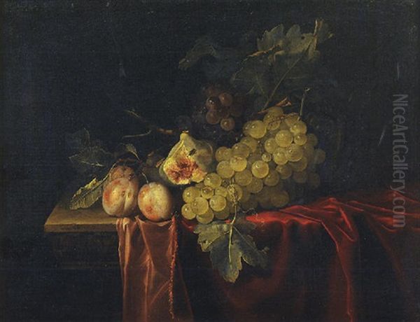 Grapes, Plums, Figs And A Melon On A Partly Draped Stone Ledge Oil Painting by Willem Van Aelst