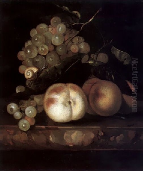 Still Life Of Peaches And Grapes, With A Snail Oil Painting by Willem Van Aelst