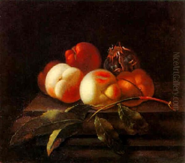 Fruechtestilleben Mit Pfirsichen Und Granatapfel Oil Painting by Willem Van Aelst