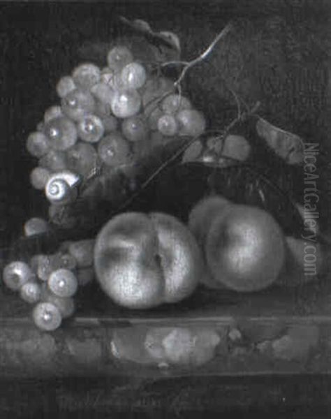 Fruit And A Snail On A Marble Ledge Oil Painting by Willem Van Aelst