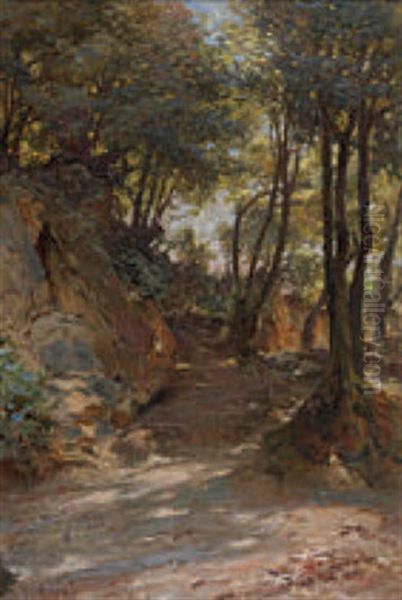 Besonnter Waldweg Oil Painting by Franz Theodor Aerni