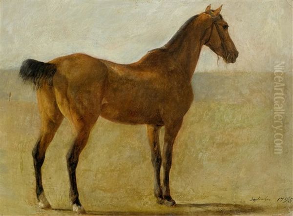 Three-quarter View Of An English Thoroughbred Oil Painting by Jacques-Laurent Agasse