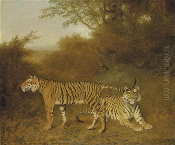 Two Bengal Tigers In An Savannah Landscape, With A Man In A Tree Oil Painting by Jacques-Laurent Agasse